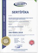 ISO 45001 BELGEMİZ